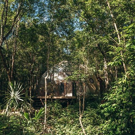 Amaite Retreat Tulum Hotel Macario Gomez Ngoại thất bức ảnh