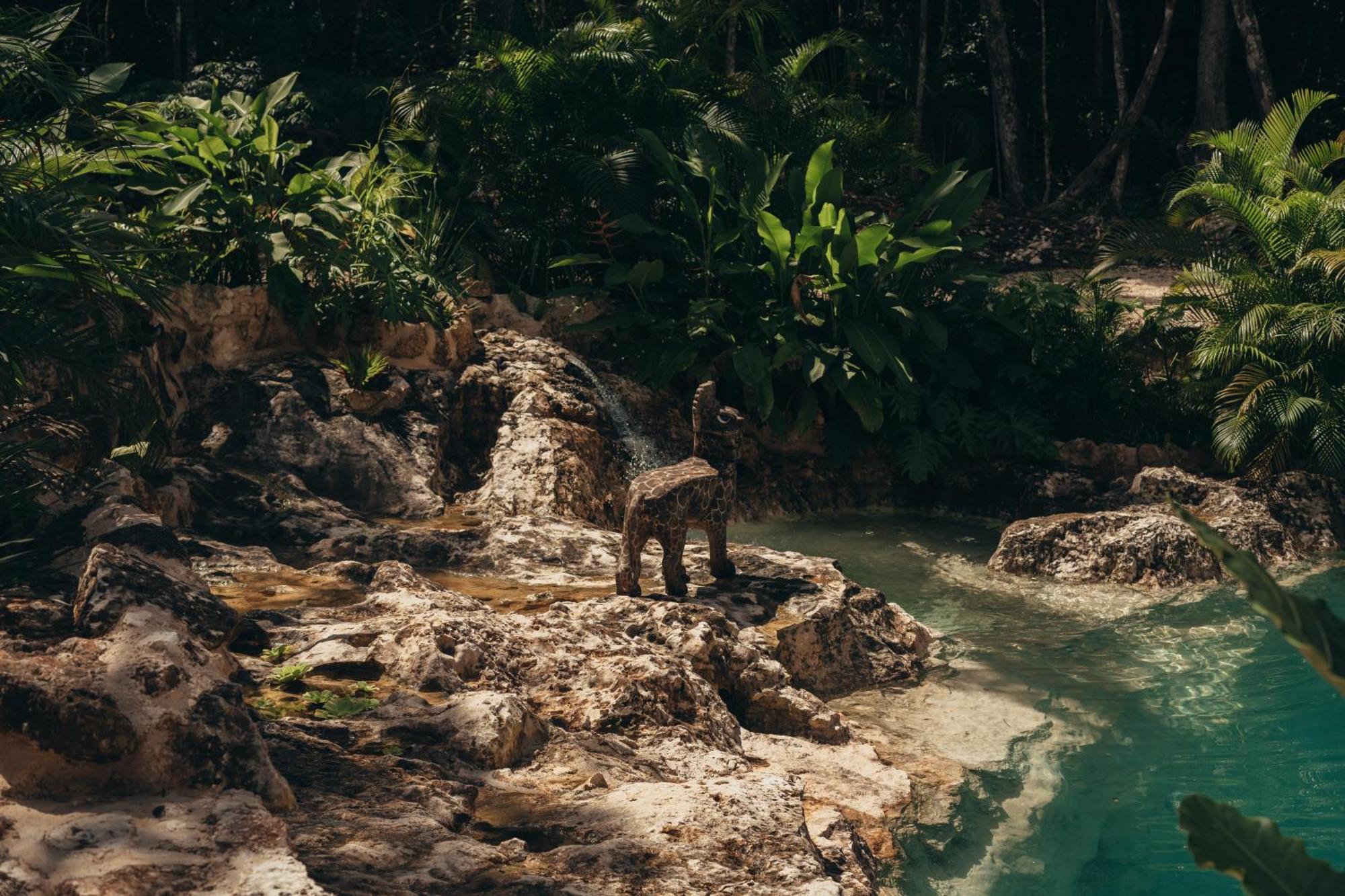 Amaite Retreat Tulum Hotel Macario Gomez Ngoại thất bức ảnh